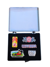 Pin Collection 2026 in box