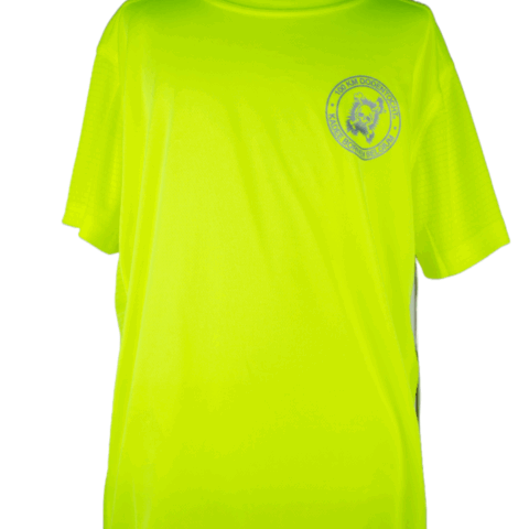 Dry-fit T-shirt heren Tandem - honingraat