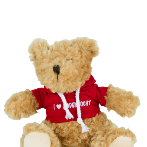 Knuffelbeer hoodie